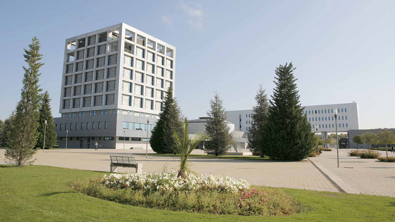 Rey Juan Carlos University